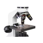Микроскоп Levenhuk Rainbow 2L 9