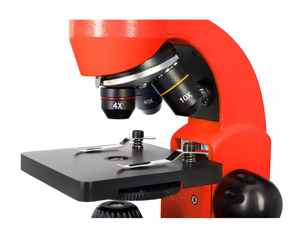 Микроскоп Levenhuk Rainbow 50L 12