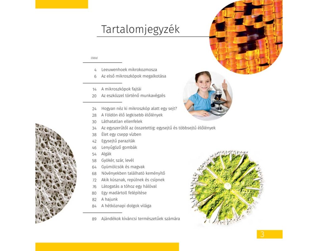 Микроскоп Levenhuk Discovery Micro с книга 22