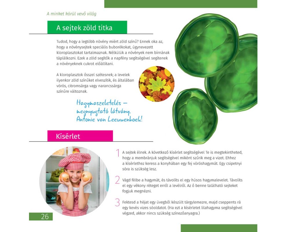 Микроскоп Levenhuk Discovery Micro с книга 23