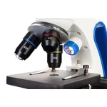 Микроскоп Levenhuk Discovery Pico 12
