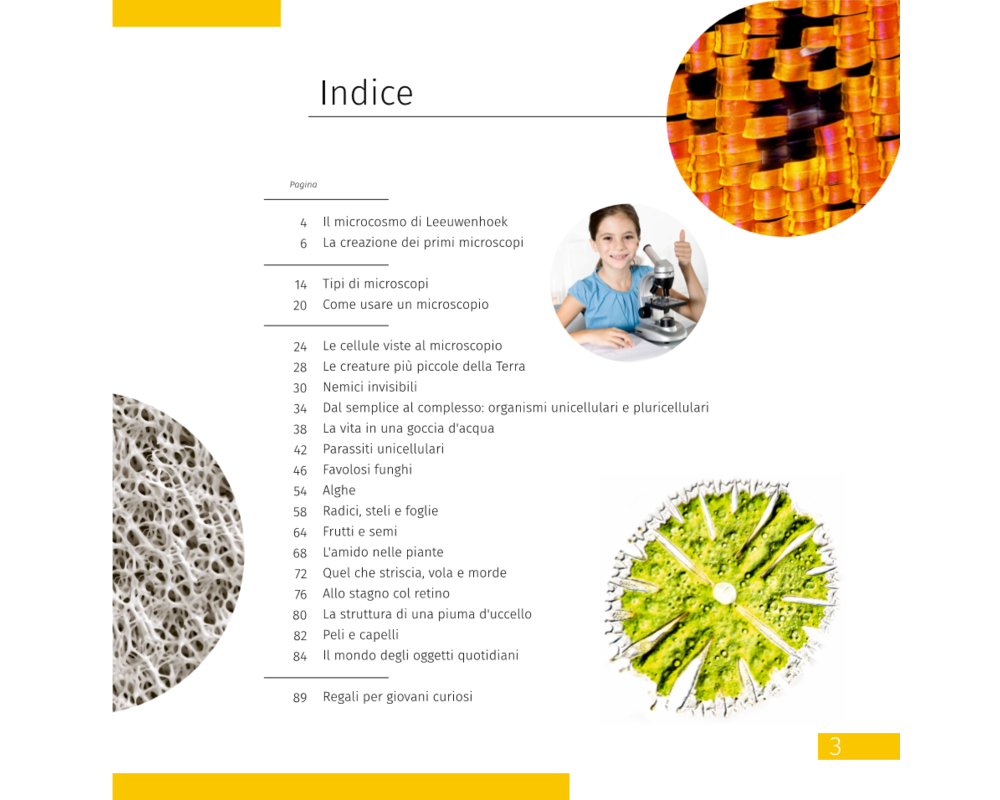 Микроскоп Цифров Levenhuk Discovery Atto Polar с книга 17