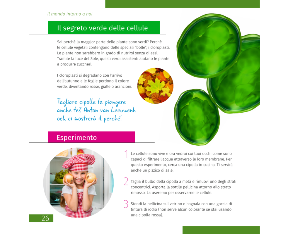 Микроскоп Levenhuk Discovery Atto Polar с книга 18