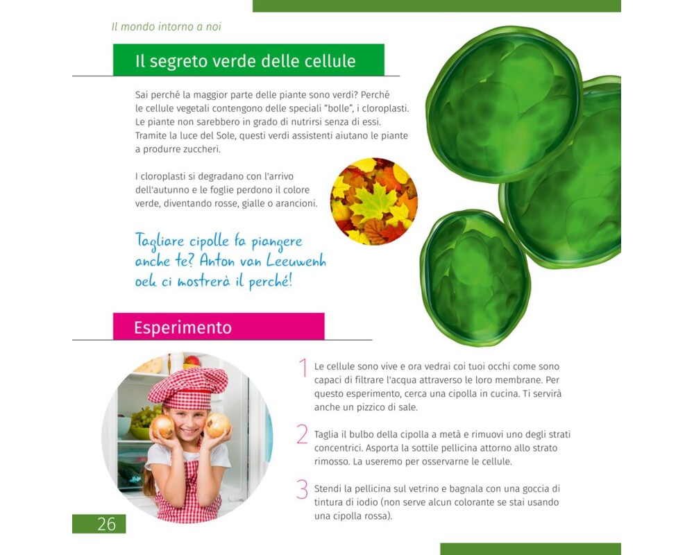 Микроскоп Levenhuk Discovery Centi 01 с книга 5