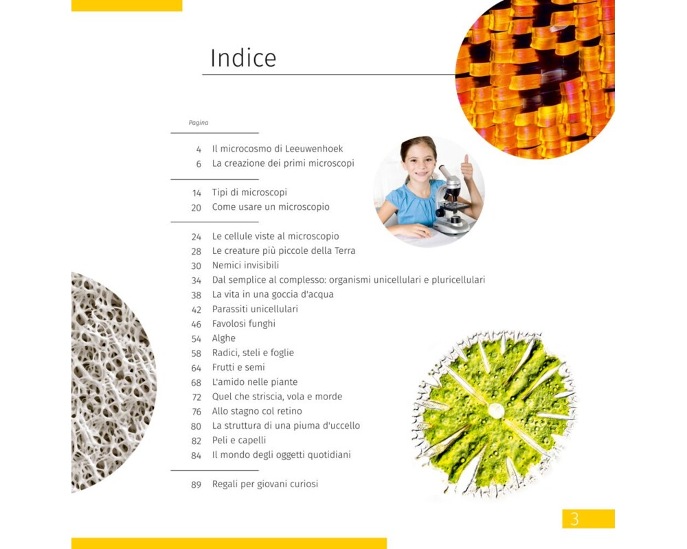 Микроскоп Levenhuk Discovery Centi 02 с книга 4