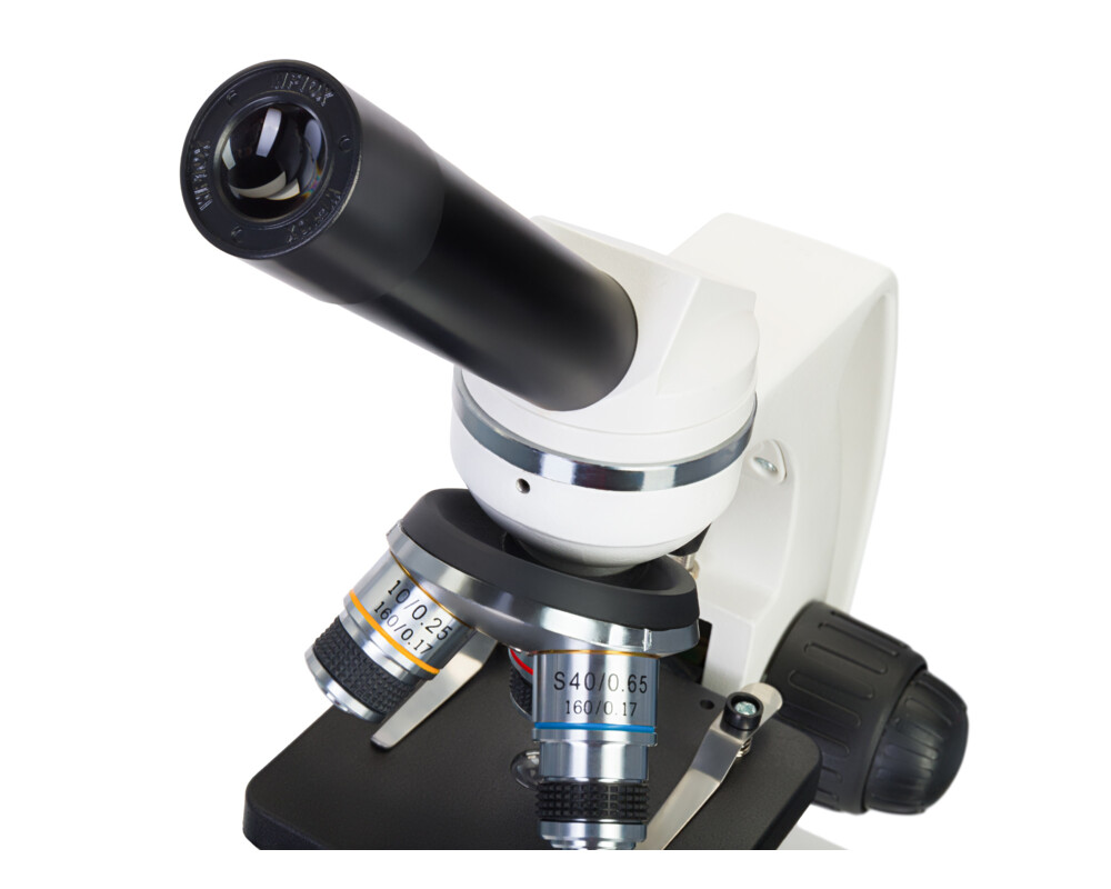 Микроскоп Levenhuk Discovery Femto Polar с книга 20