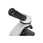 Микроскоп Levenhuk Discovery Nano 10