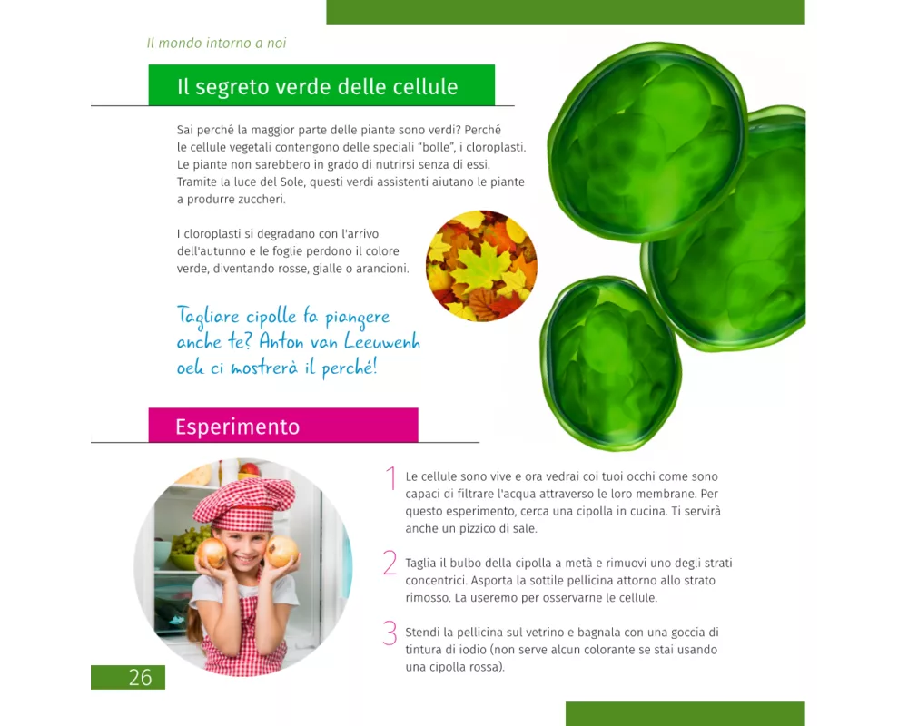 Микроскоп Levenhuk Discovery Pico 7