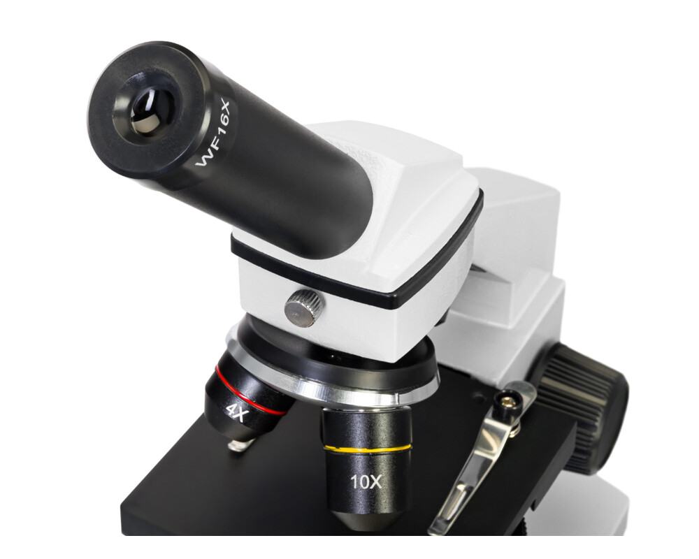 Микроскоп Levenhuk Rainbow 2L PLUS 8