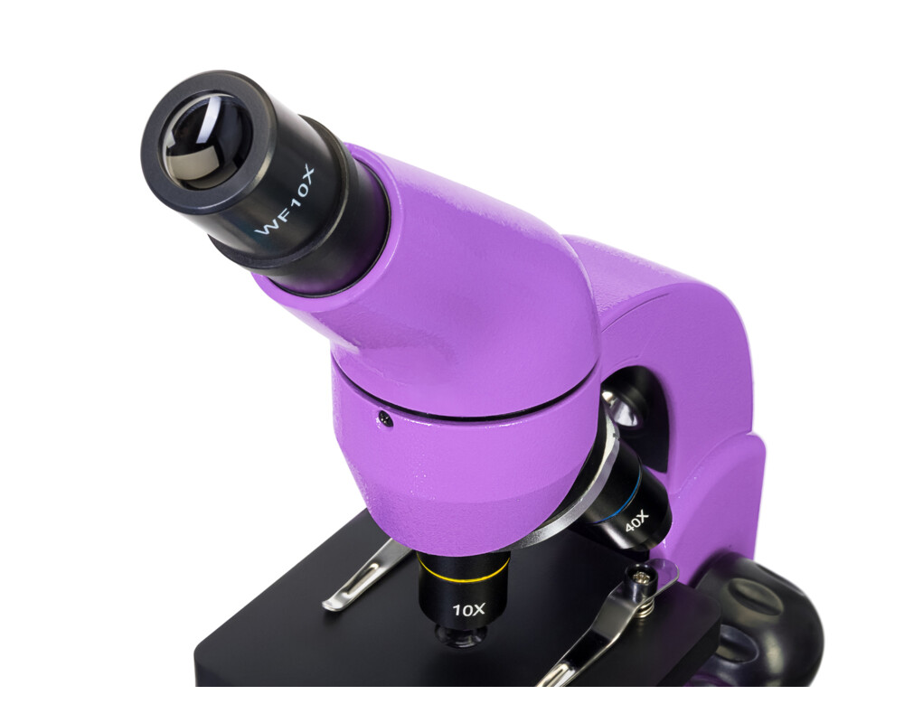 Микроскоп Levenhuk Rainbow 50L 28