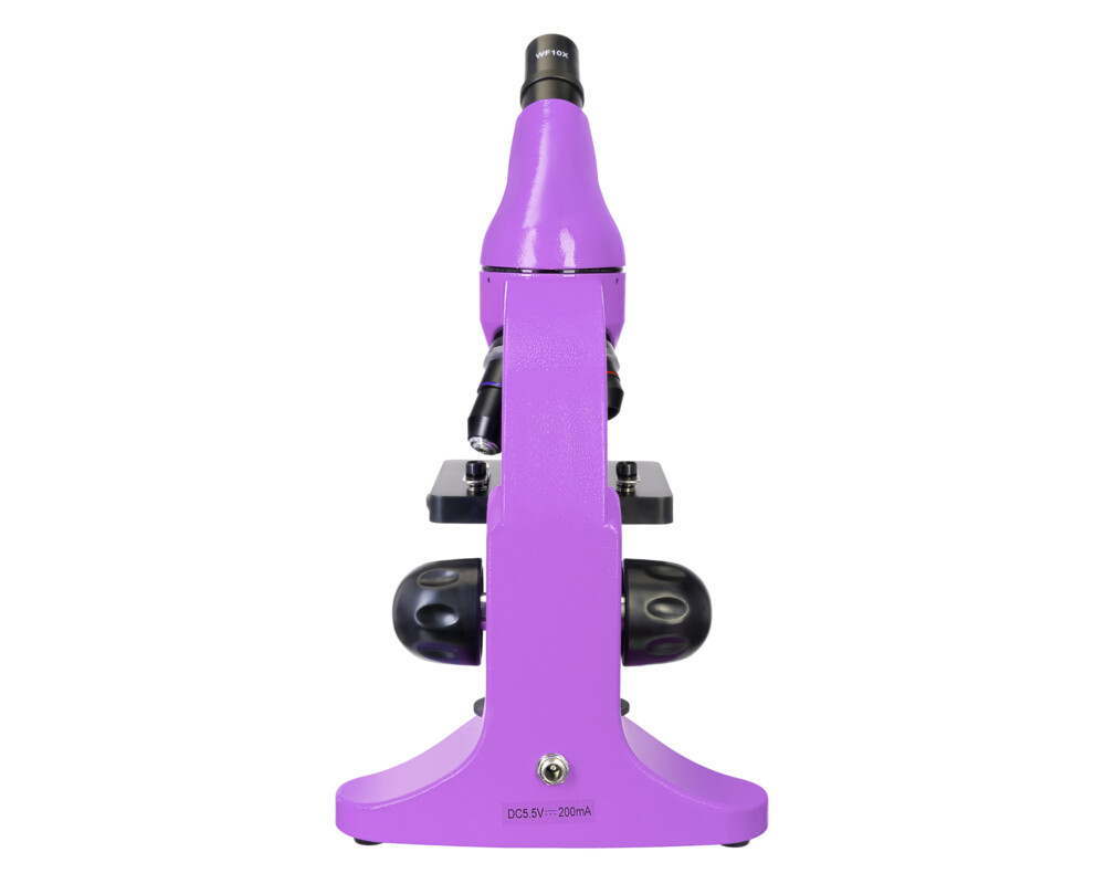 Микроскоп Levenhuk Rainbow 50L 31