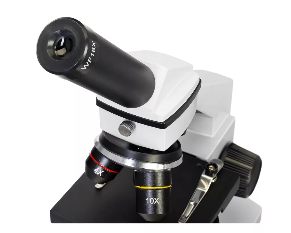 Микроскоп Levenhuk Rainbow 2L PLUS 8