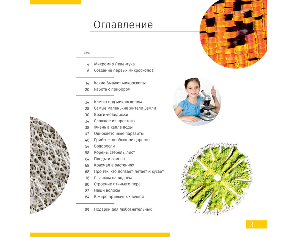 Микроскоп Цифров Levenhuk Discovery Atto Polar с книга 19