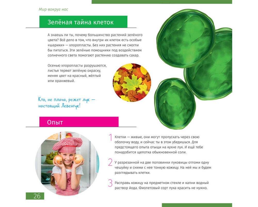 Микроскоп Цифров Levenhuk Discovery Atto Polar с книга 20