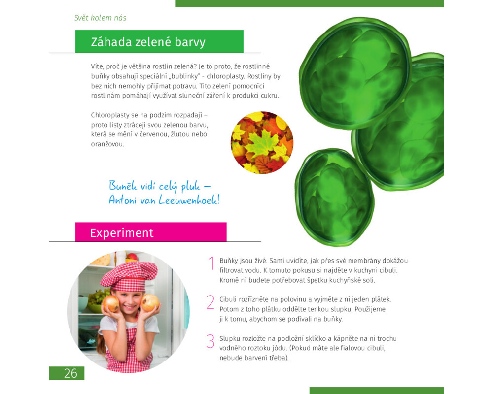 Микроскоп Цифров Levenhuk Discovery Atto Polar с книга 18