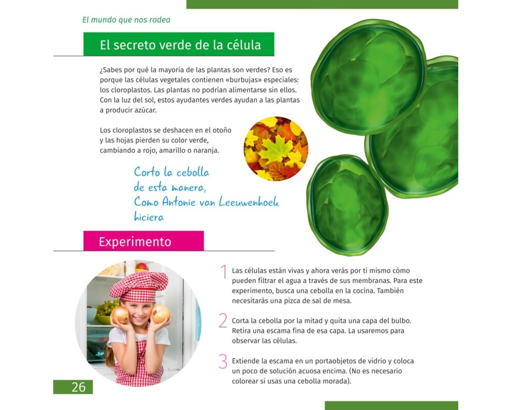 Микроскоп Levenhuk Discovery Centi 02 с книга 19