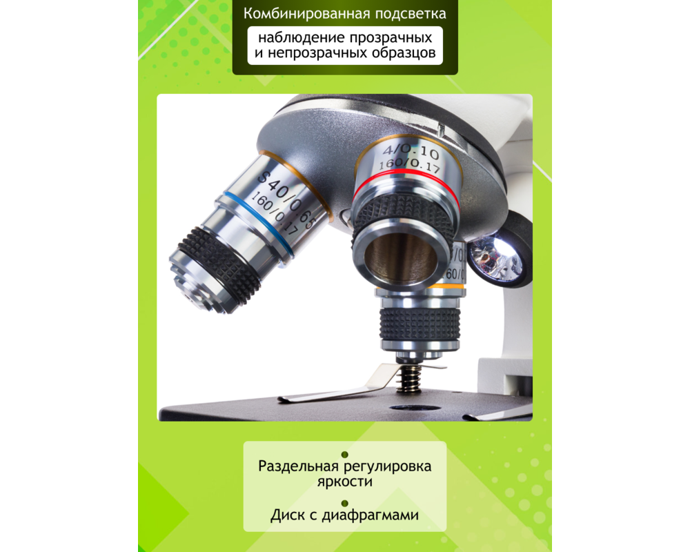 Микроскоп Цифров Levenhuk Discovery Femto Polar с книга 32