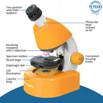 Микроскоп Levenhuk Discovery Micro с книга 16
