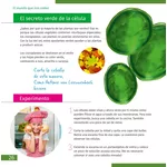 Микроскоп Levenhuk Discovery Micro с книга 7