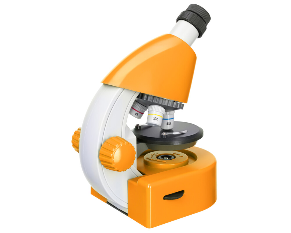 Микроскоп Levenhuk Discovery Micro с книга 24