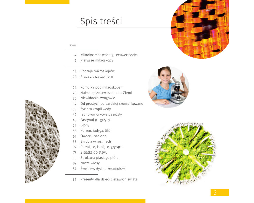 Микроскоп Levenhuk Discovery Micro с книга 22