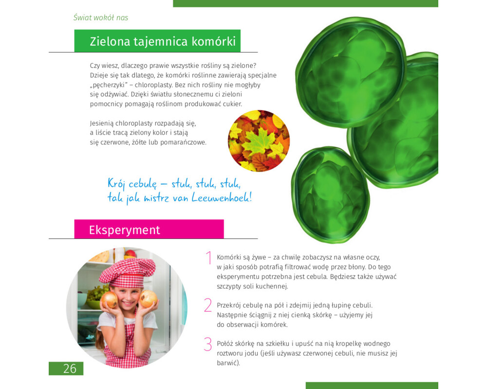 Микроскоп Levenhuk Discovery Micro с книга 23