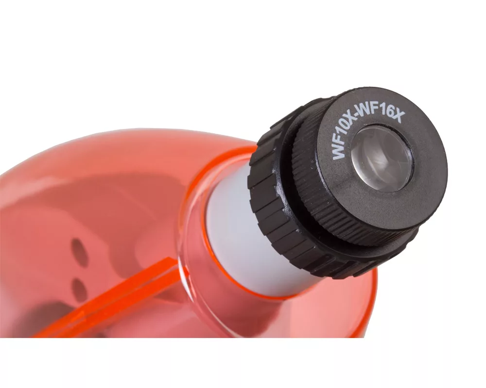 Микроскоп Levenhuk LabZZ M101 5