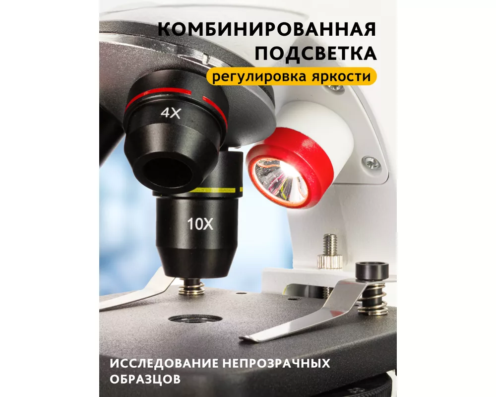 Микроскоп Levenhuk Discovery Pico 36