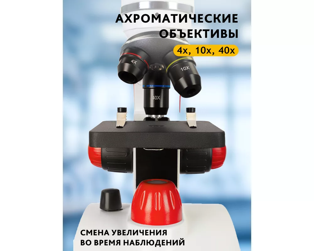 Микроскоп Levenhuk Discovery Pico 34