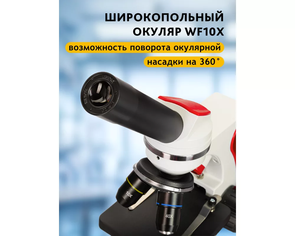Микроскоп Levenhuk Discovery Pico 33