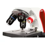 Микроскоп Levenhuk Discovery Pico 12