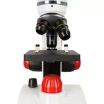 Микроскоп Levenhuk Discovery Pico 11