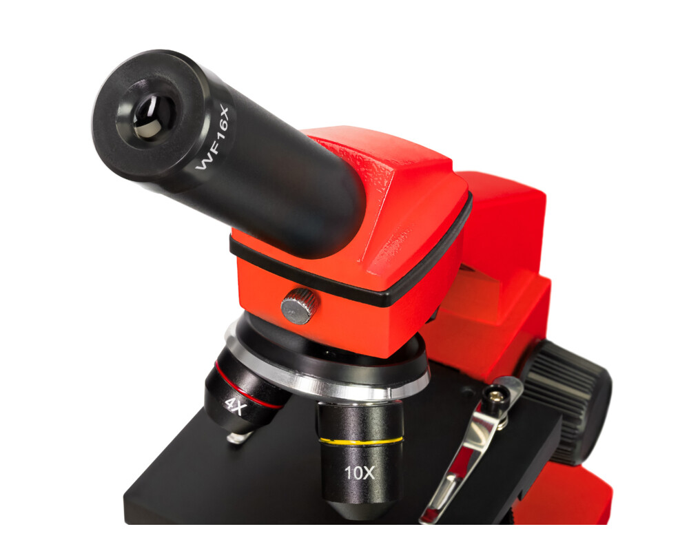 Микроскоп Levenhuk Rainbow 2L PLUS 34