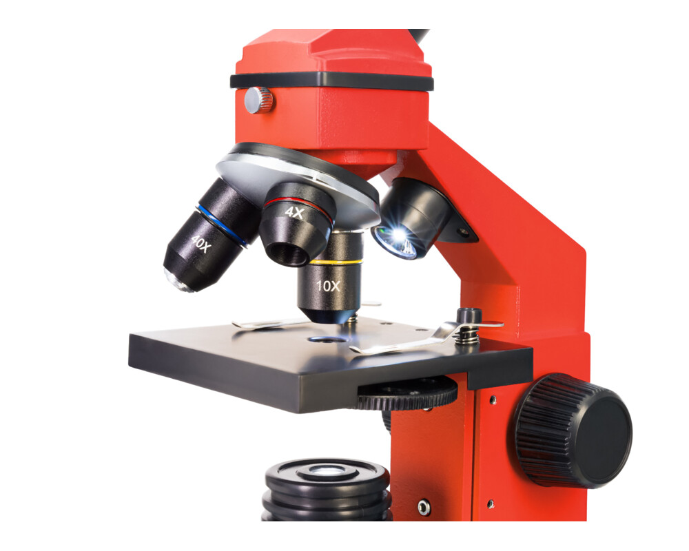 Микроскоп Levenhuk Rainbow 2L PLUS 36