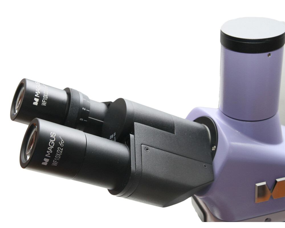 Микроскоп Биологичен MAGUS Bio 250TL 5