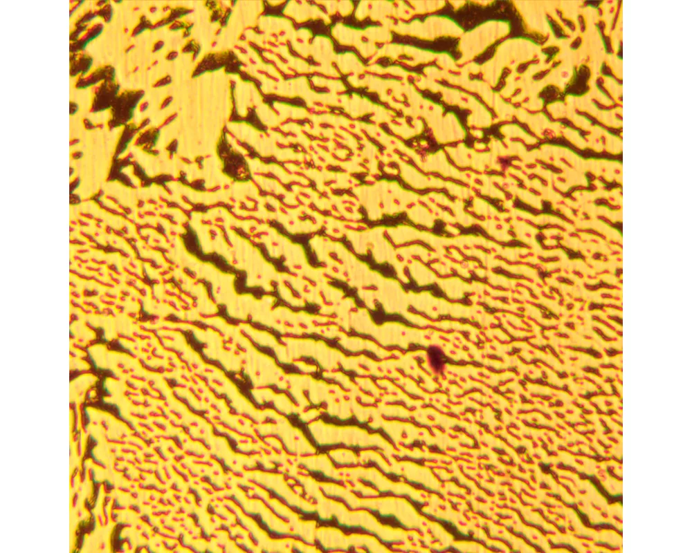 Микроскоп Металургичен MAGUS Metal 600 24