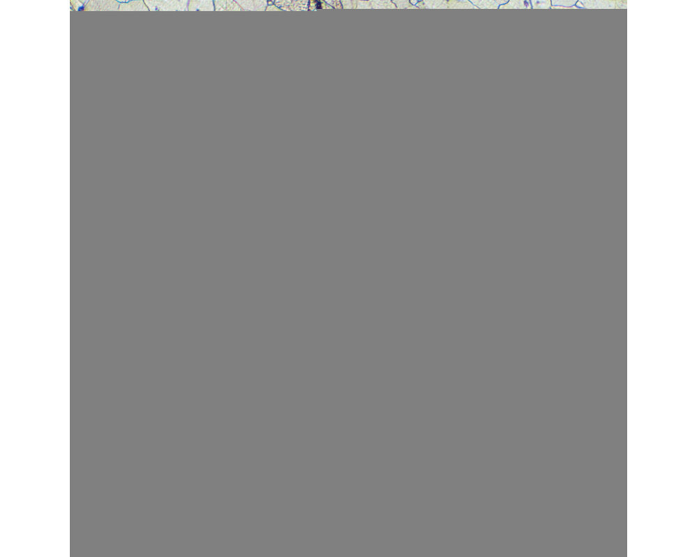 Микроскоп Металургичен MAGUS Metal 630 21