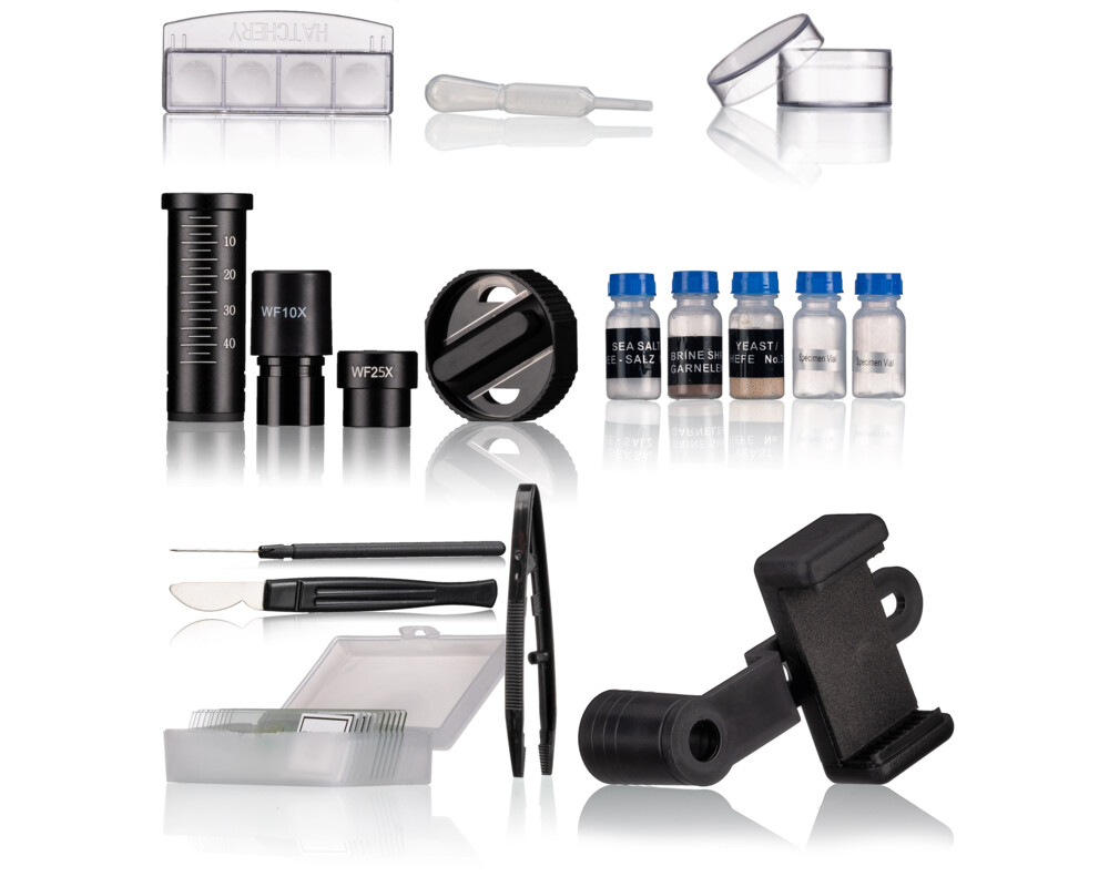 Микроскоп Bresser Junior with Magnification 40x-2000x 3