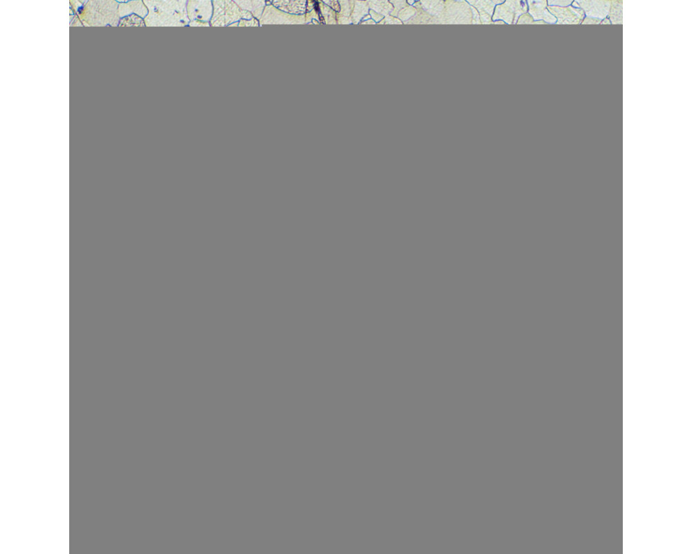 Микроскоп Металургичен цифров MAGUS Metal D630 23