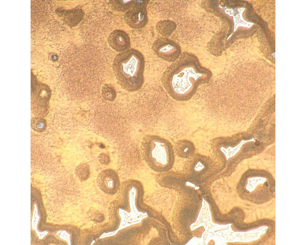 Микроскоп Металургичен цифров MAGUS Metal D650 26