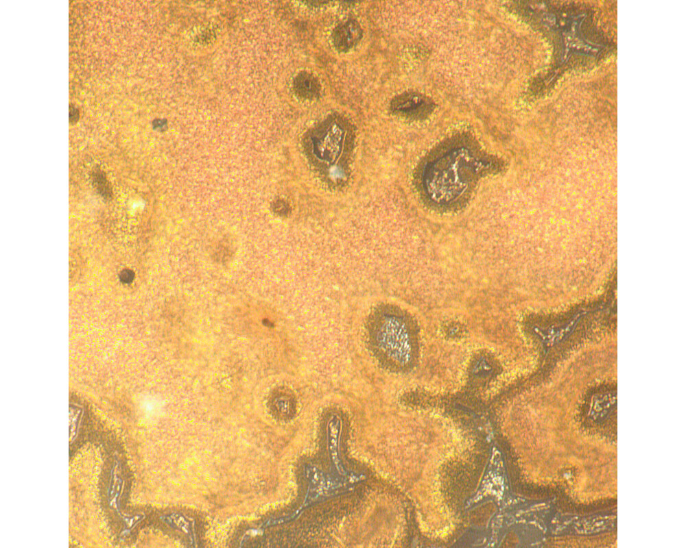 Микроскоп Металургичен цифров MAGUS Metal D650 27