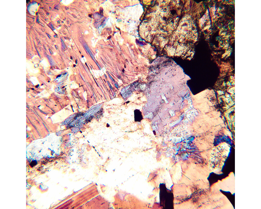 Микроскоп Поляризационен цифров MAGUS Pol D800 23