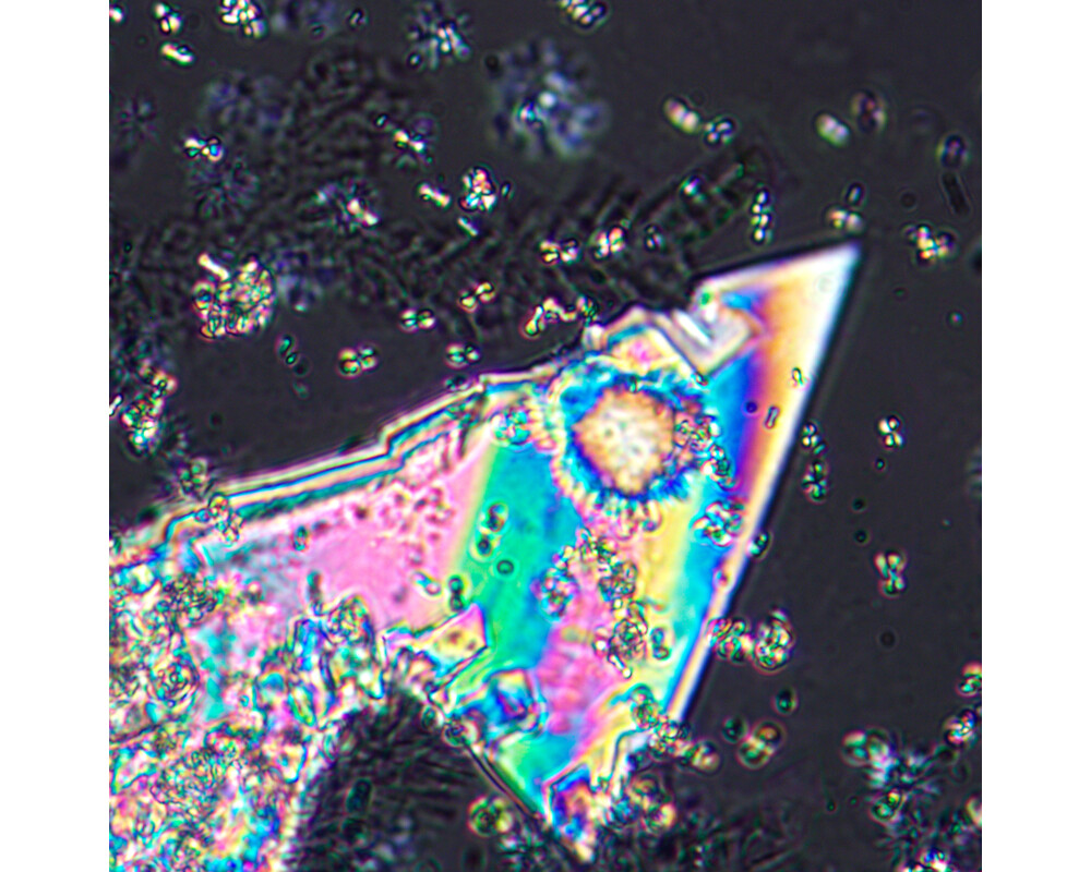 Микроскоп Поляризационен цифров MAGUS Pol D800 24