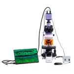 Микроскоп Флуоресцентен цифров MAGUS Lum D400L LCD 17