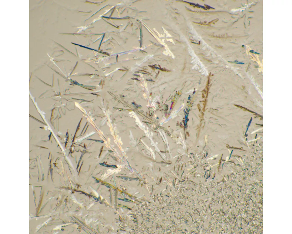 Микроскоп Биологичен цифров MAGUS Bio D230T LCD 35