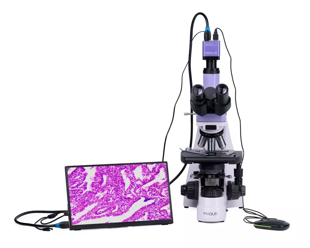 Микроскоп Биологичен цифров MAGUS Bio D250TL LCD 26