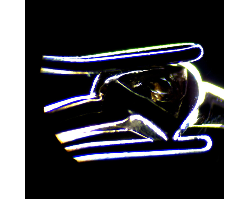 Микроскоп Стерео MAGUS Stereo 7T 21