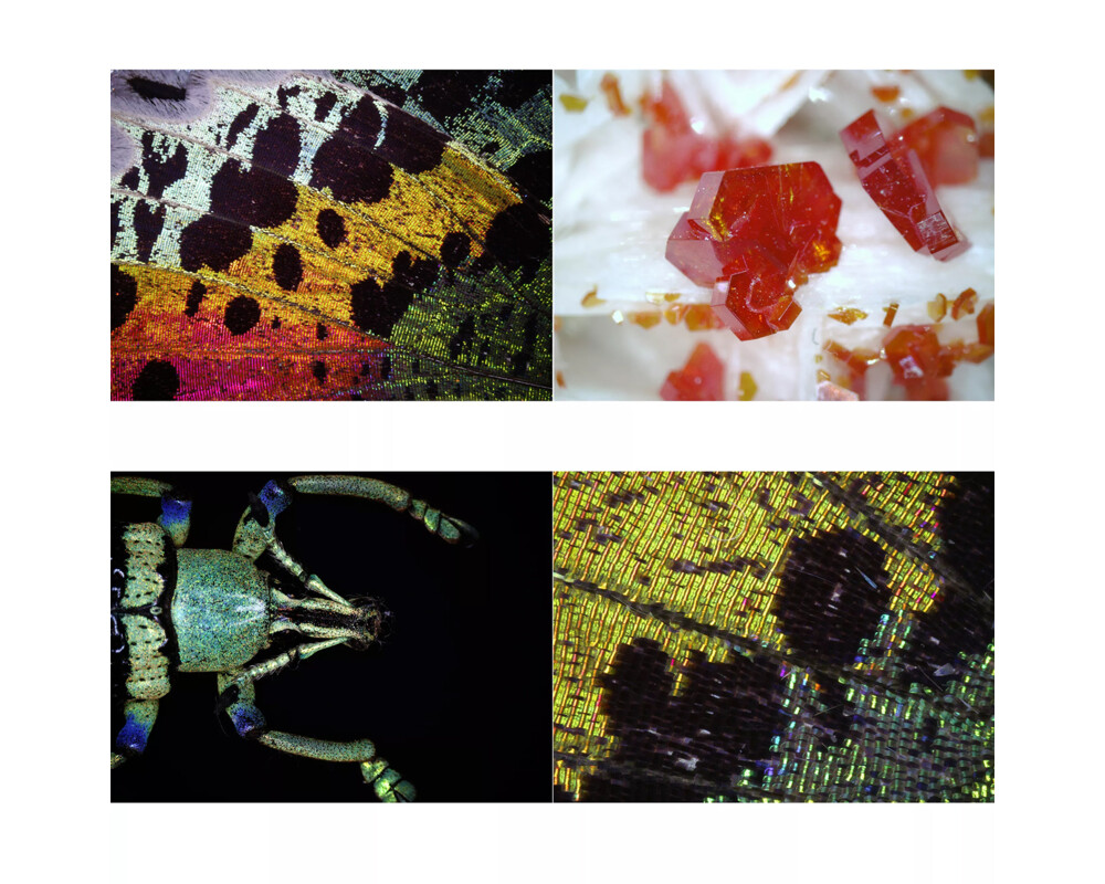 Микроскоп USB цифров Bresser DST1028 4