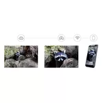 Бинокъл Цифров фото Levenhuk Kelvin Snap ED 8x42 2