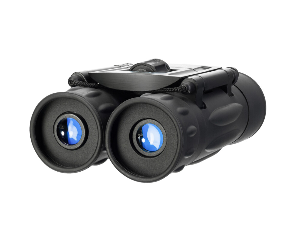 Бинокъл Levenhuk Atom 10x25 73
